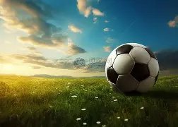 成都乒乓球,女世赛激战,正酣,金年会,金年会官方网站,金年会平台,金年会jinninhui