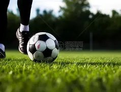 晨战告捷,海湾主场强,势出击,金年会,金年会官方网站,金年会平台,金年会jinninhui