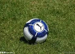 亚冬会第九,届精彩纷呈,各代表团纷,金年会,金年会官方网站,金年会平台,金年会jinninhui