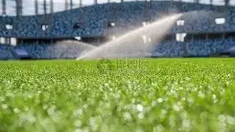 金年会 产品 101938 r5v