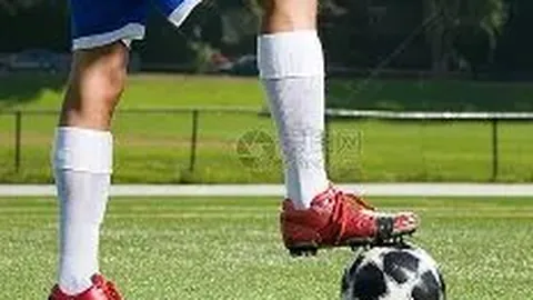 金年会 产品 101921 p2j